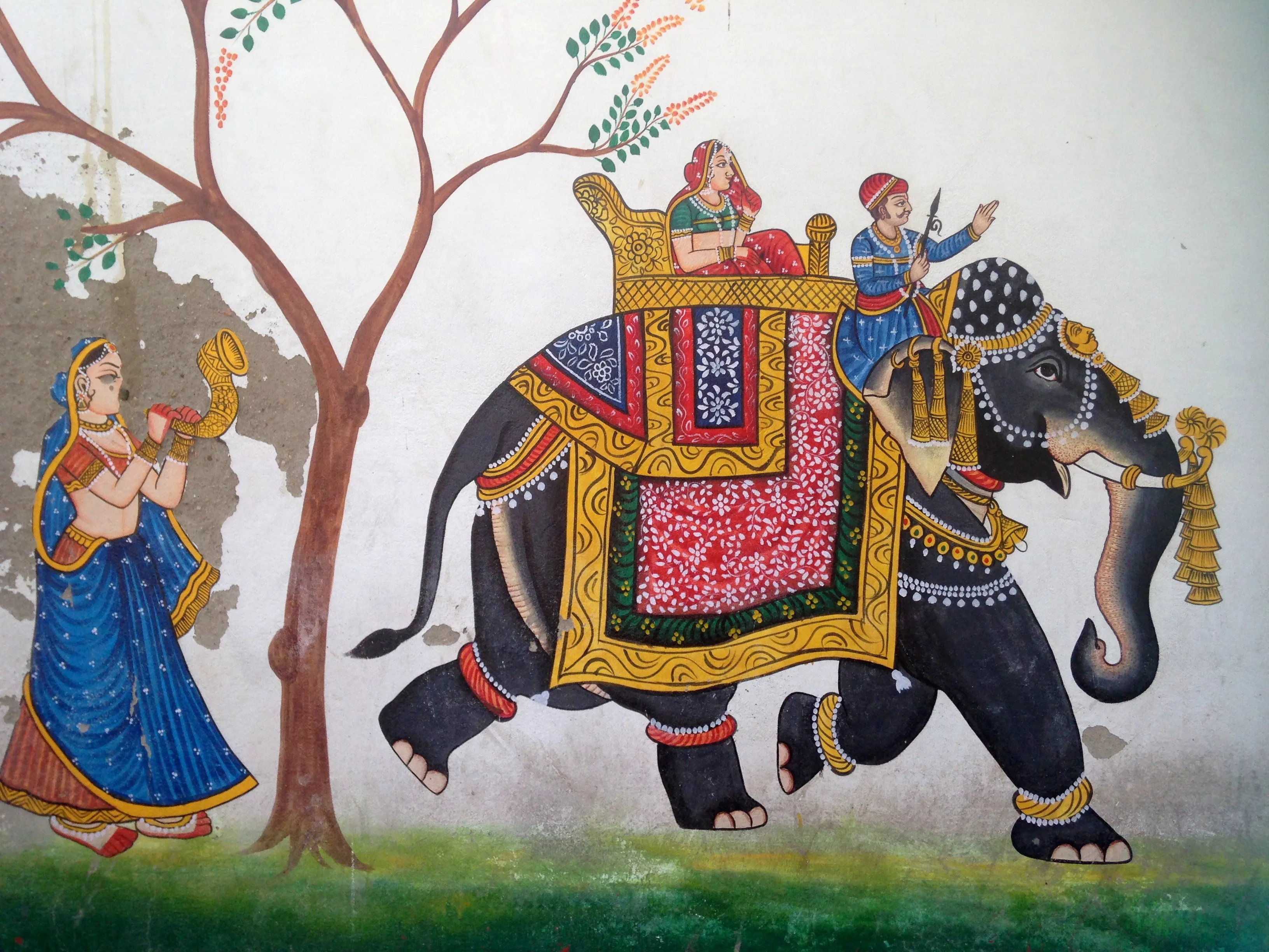 Desert National Sanctuary Jaisalmer