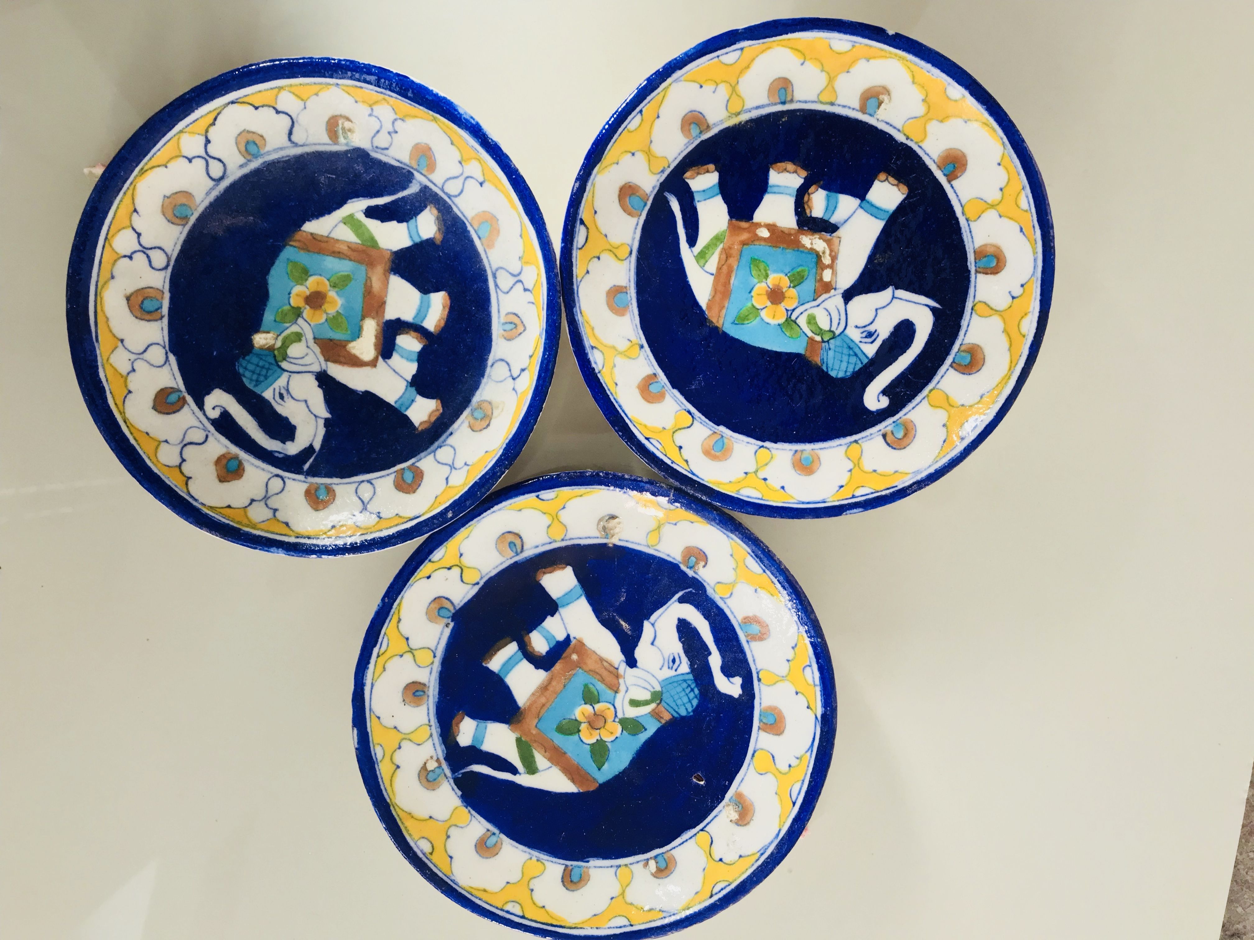 Desert National Sanctuary Jaisalmer