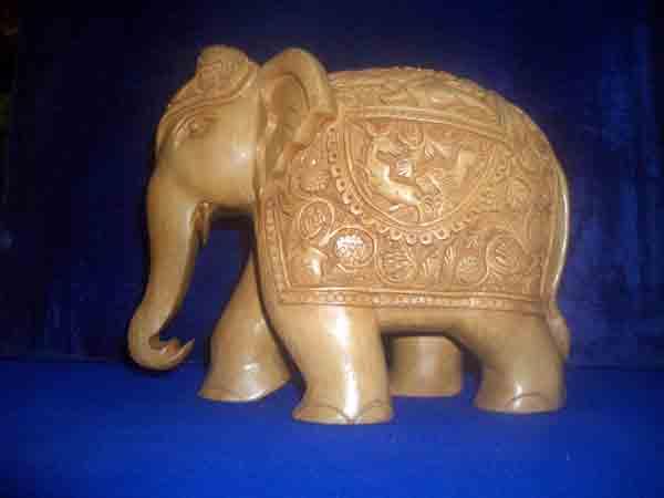 Desert National Sanctuary Jaisalmer